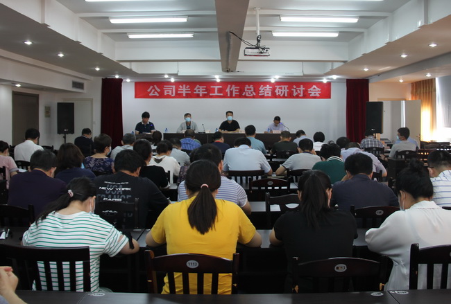 （網(wǎng)用）半年工作總結.jpg